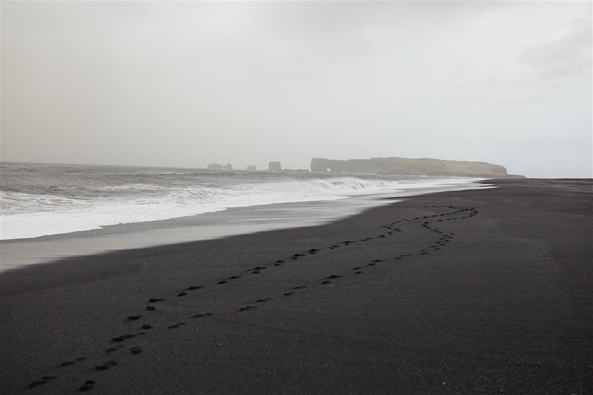 Black Sand Beach on Reynisfjara Soath Coast in Iceland